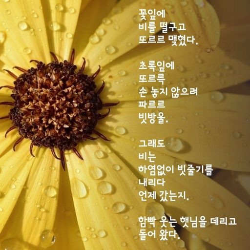 피드 이미지
