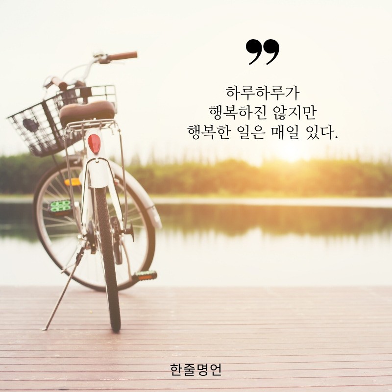 피드에 업로드 된 이미지