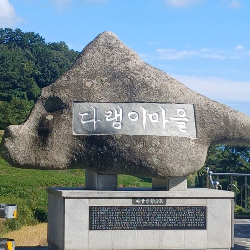 피드 이미지