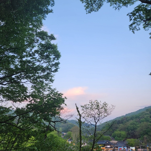 피드 이미지
