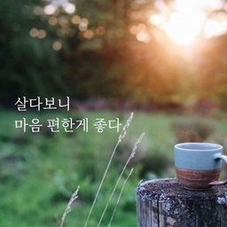 피드에 업로드 된 이미지