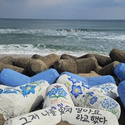 피드에 업로드 된 이미지