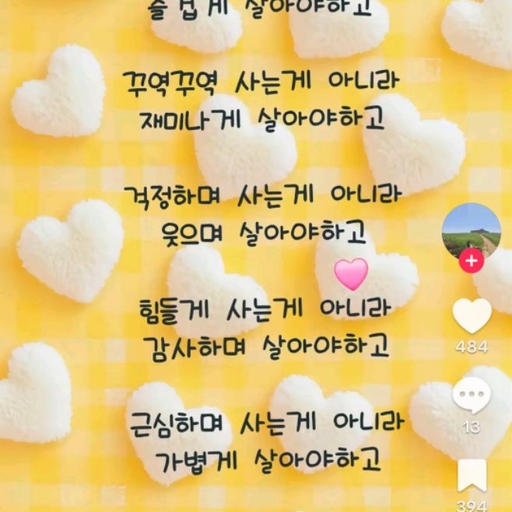 피드 이미지