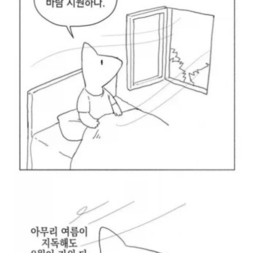 피드 이미지