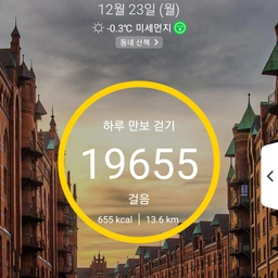 피드에 업로드 된 이미지