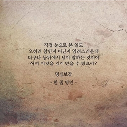 피드에 업로드 된 이미지