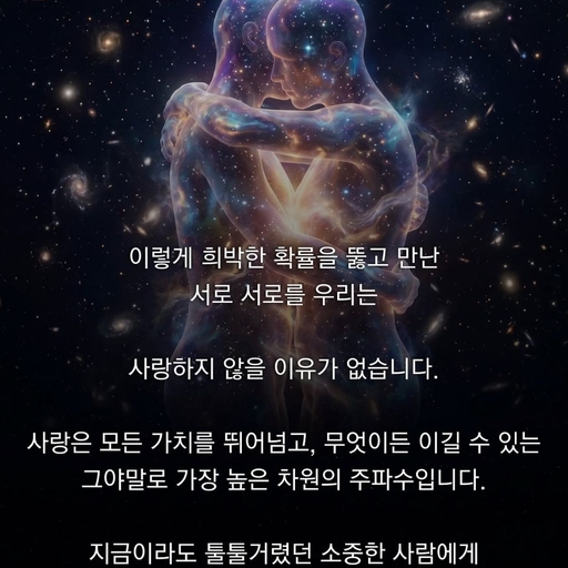 피드 이미지