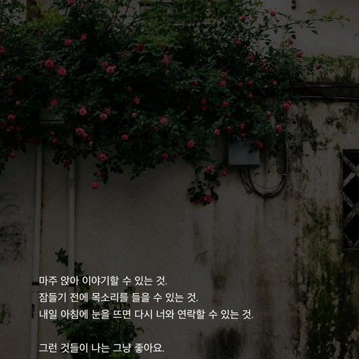 피드 이미지