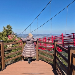 피드에 업로드 된 이미지