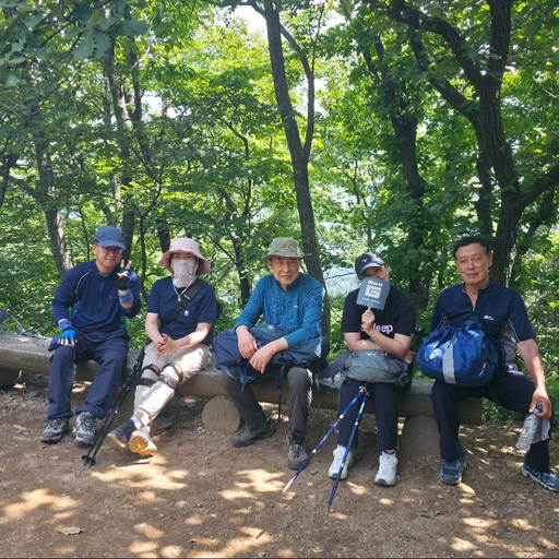 피드 이미지