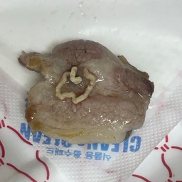 피드에 업로드 된 이미지