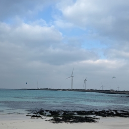 피드에 업로드 된 이미지