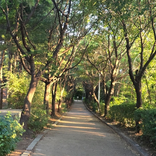 피드 이미지