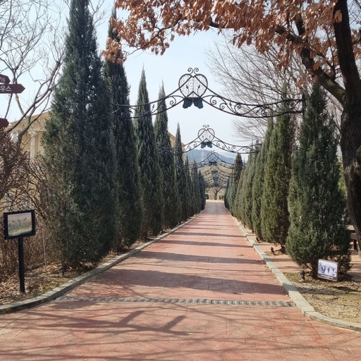 피드 이미지