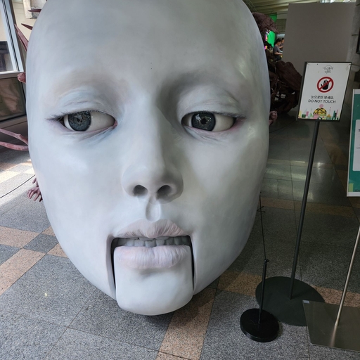 피드 이미지