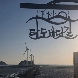 피드에 업로드 된 이미지
