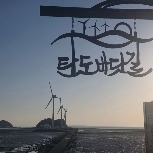 피드 이미지