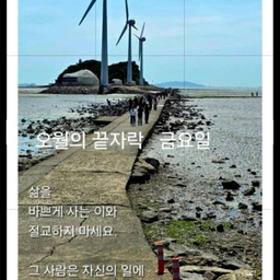 피드에 업로드 된 이미지