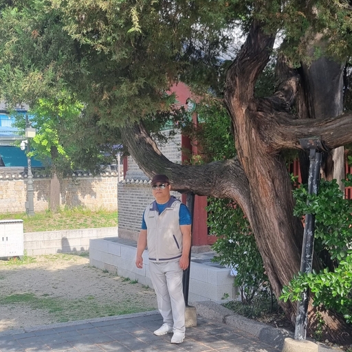 피드 이미지