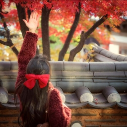 피드에 업로드 된 이미지