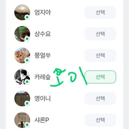 피드에 업로드 된 이미지