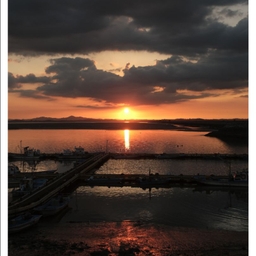 피드에 업로드 된 이미지