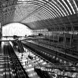 피드에 업로드 된 이미지