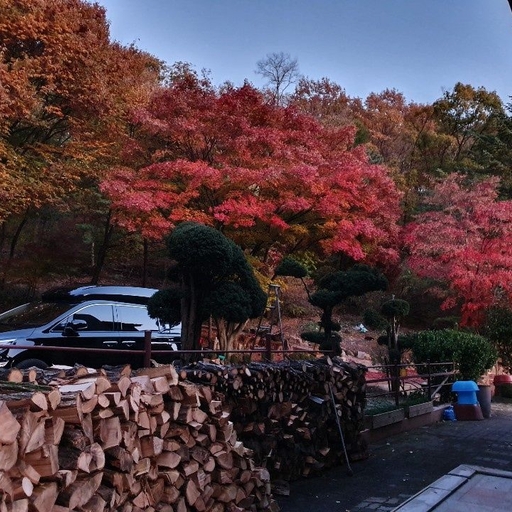피드 이미지