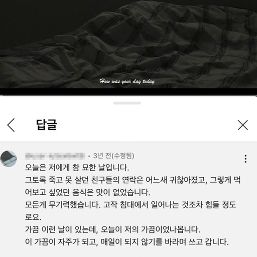 피드 이미지
