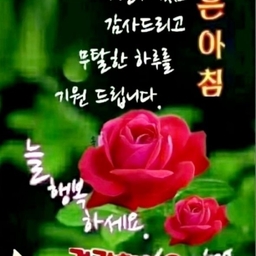 피드에 업로드 된 이미지