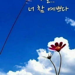 피드에 업로드 된 이미지