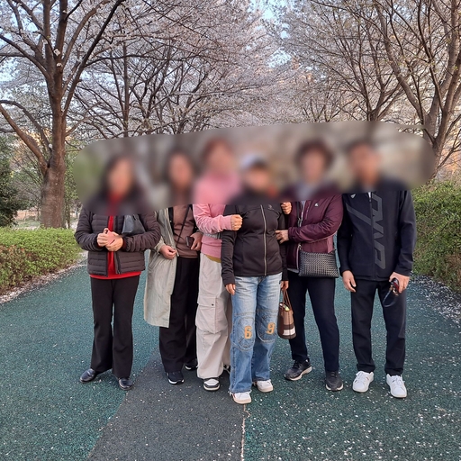 피드 이미지
