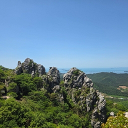 피드에 업로드 된 이미지