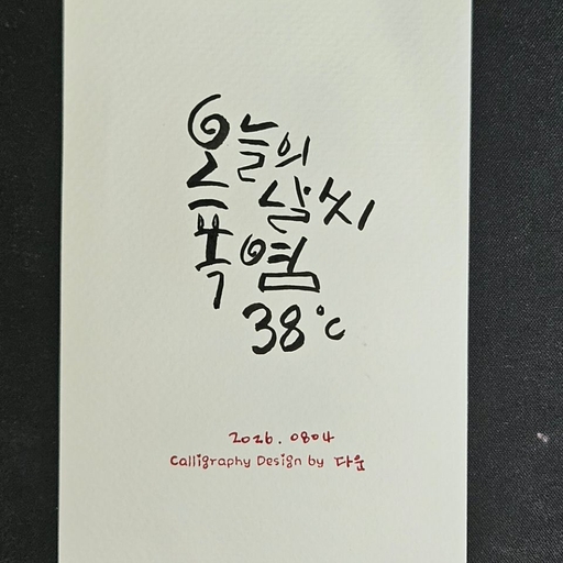 피드 이미지