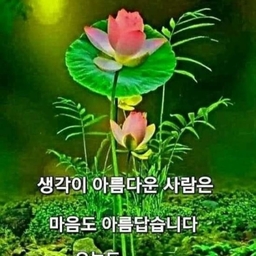 피드에 업로드 된 이미지