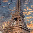 공지사항 작성자 프로필