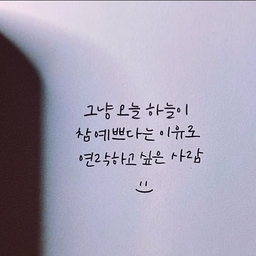 피드에 업로드 된 이미지