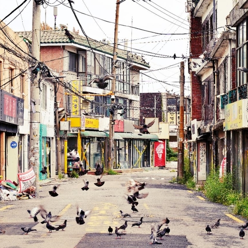 피드 이미지