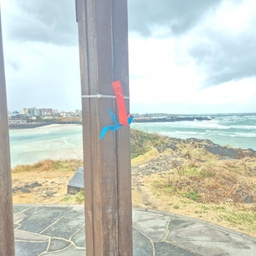 피드에 업로드 된 이미지