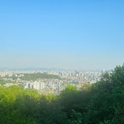 피드에 업로드 된 이미지