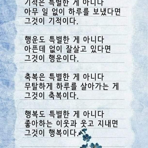 피드 이미지