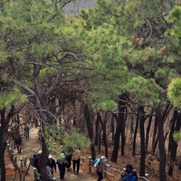 피드에 업로드 된 이미지