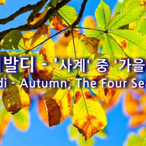 피드 이미지