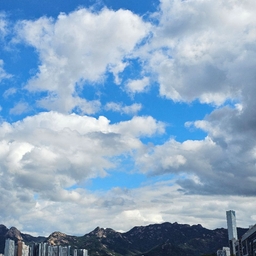 피드에 업로드 된 이미지