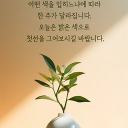 피드에 업로드 된 이미지