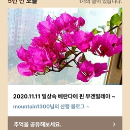 피드에 업로드 된 이미지