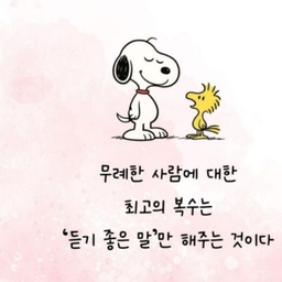 피드에 업로드 된 이미지