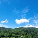 멤버 프로필