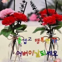 피드에 업로드 된 이미지