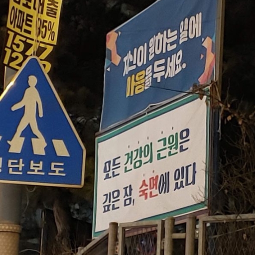 피드 이미지